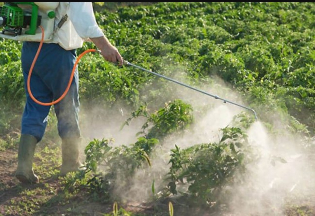 سم کاربامات