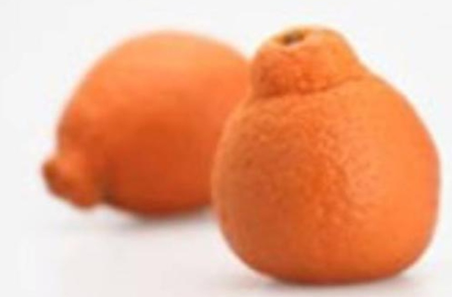 نارنگی اورلاندو تانجلو