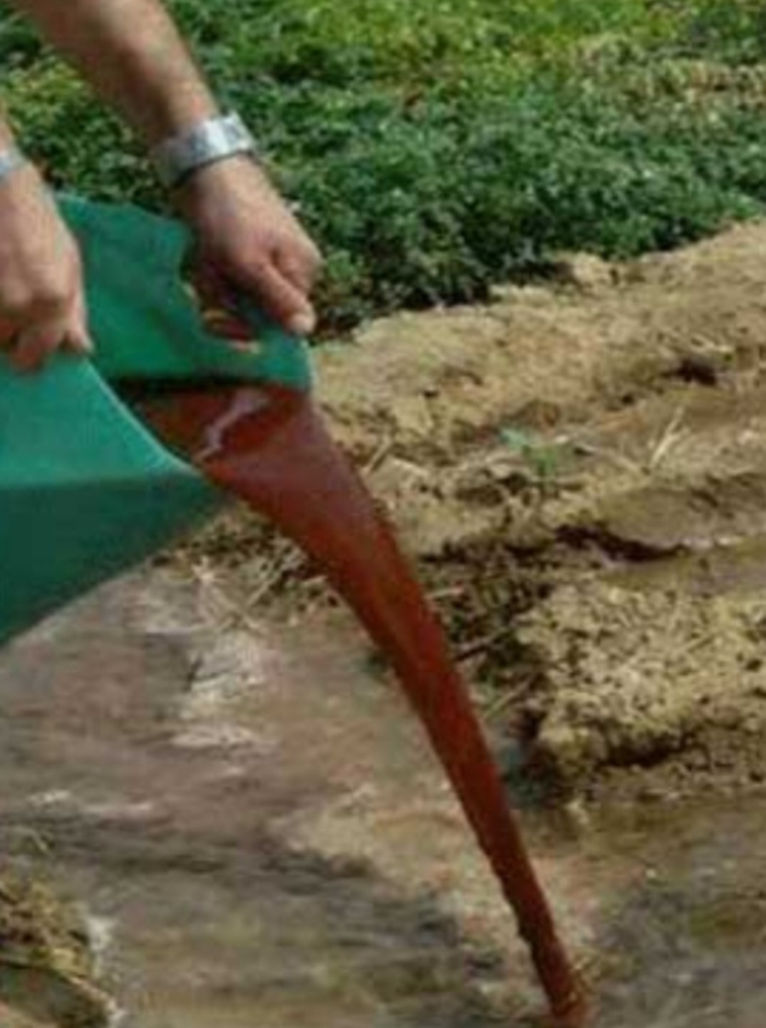 کودفسفیت براکس مایع