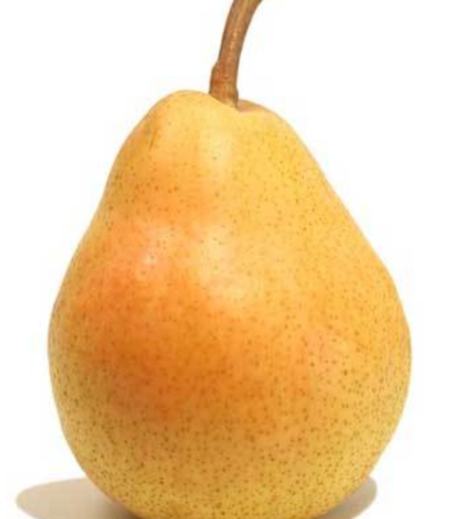 گلابی سیبری