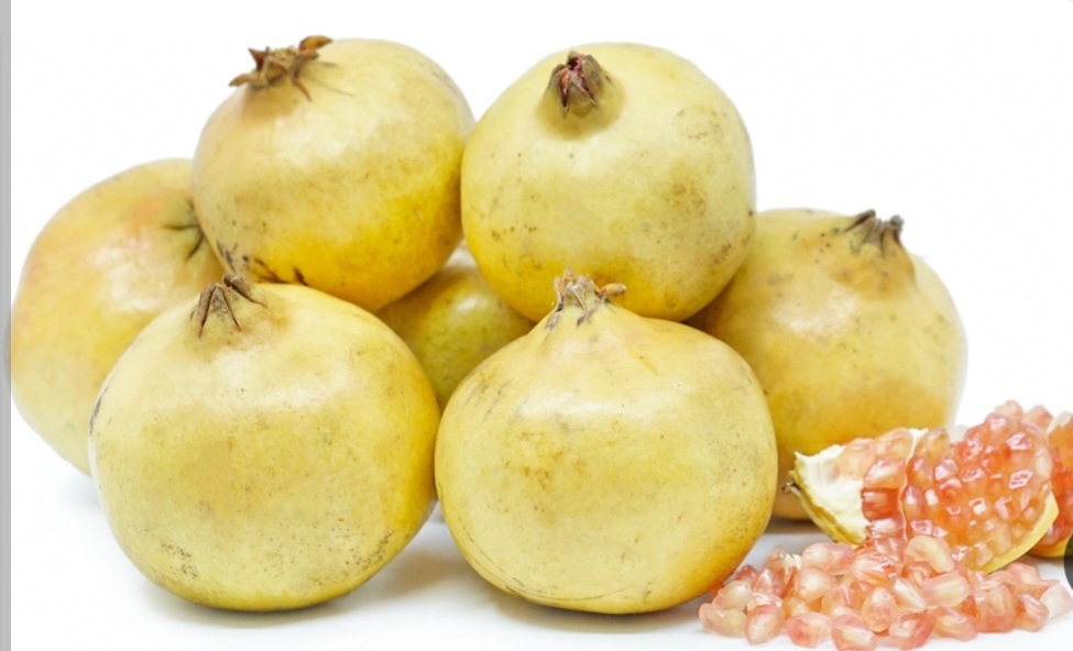 انار شهسوار