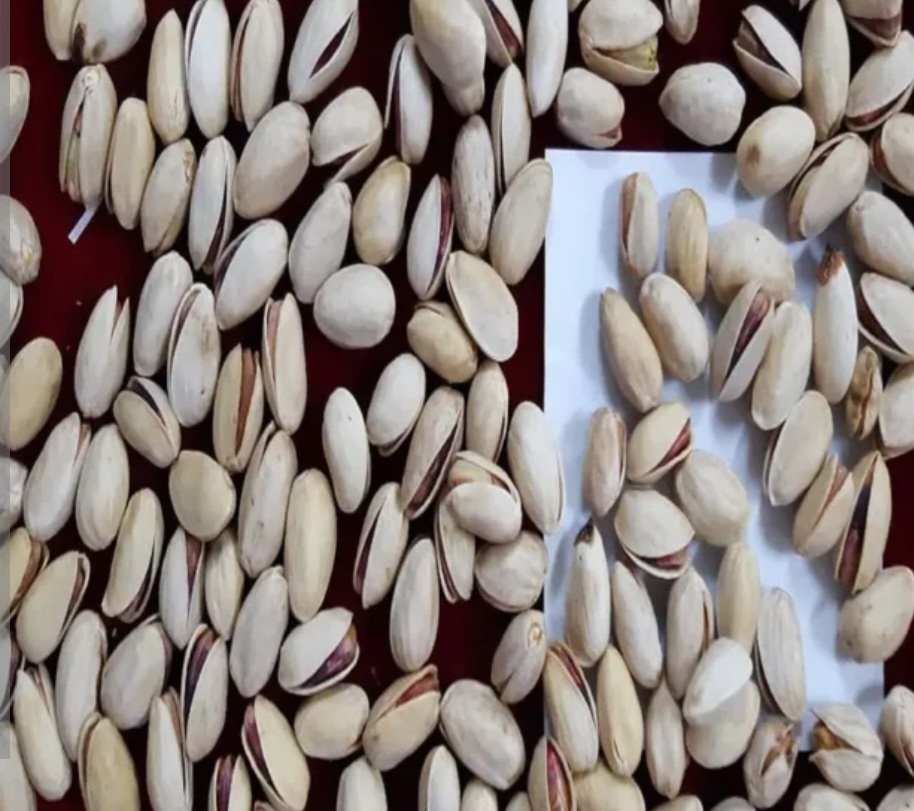 پسته دامغان