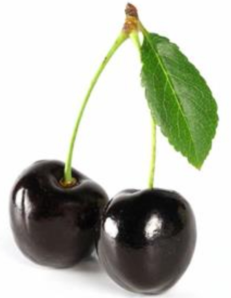 گیلاس تک دانه سیاه