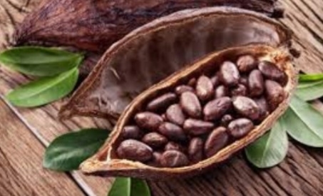 کاکائو کریولو