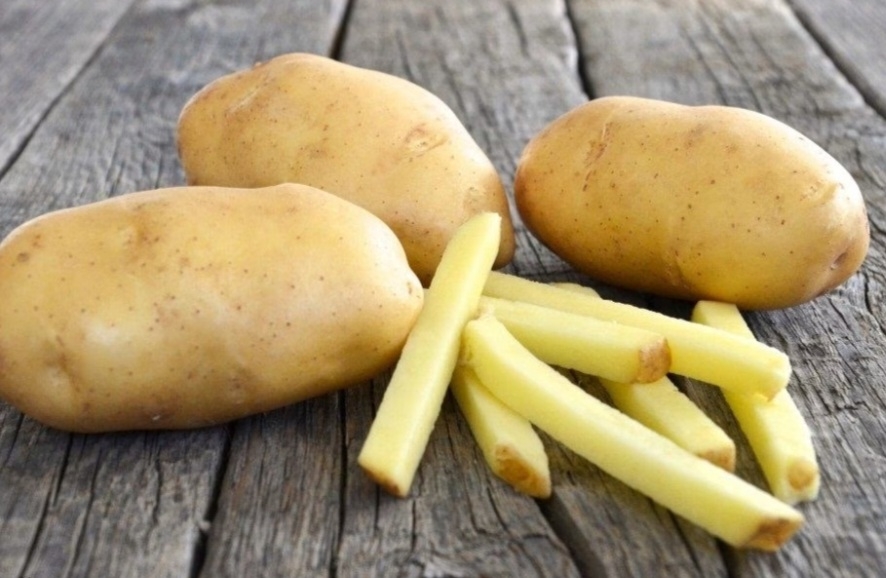 سیب‌ زمینی اگریا