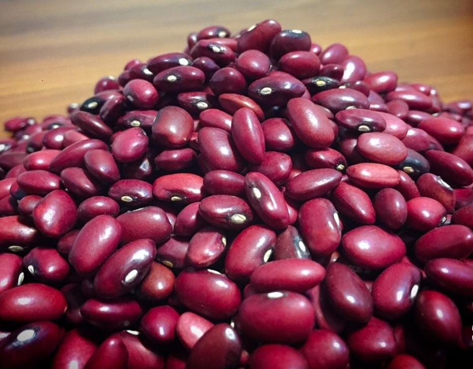 لوبیا قرمز صیاد