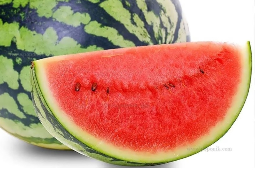 هندوانه دیکس کوئین