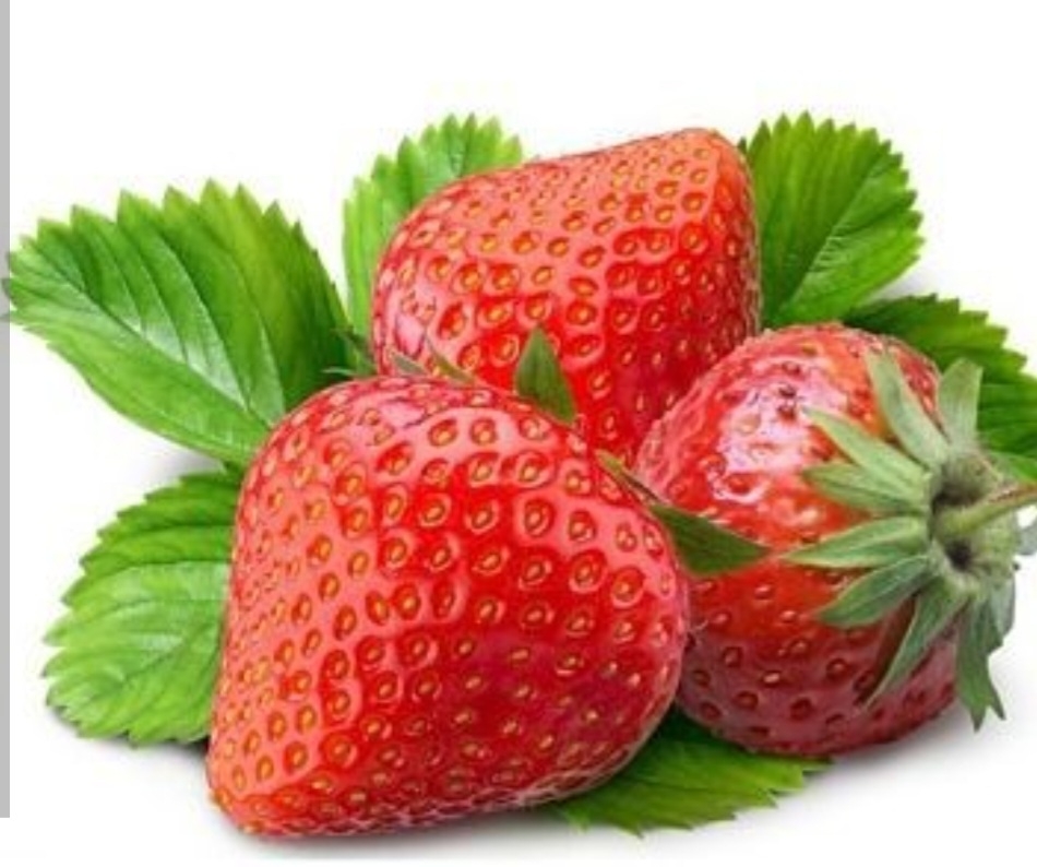 توت فرنگی ویرجینیای