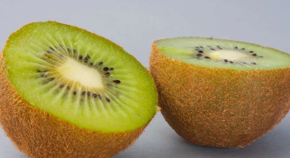 کیوی تاموری