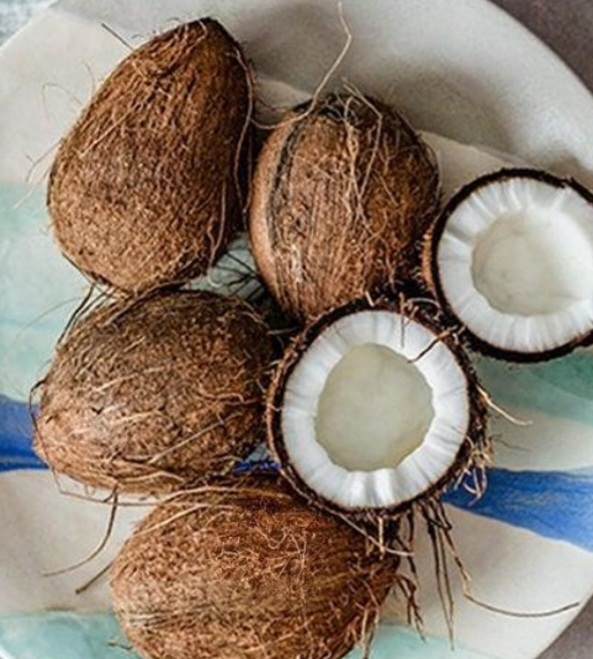 نارگیل مایپان